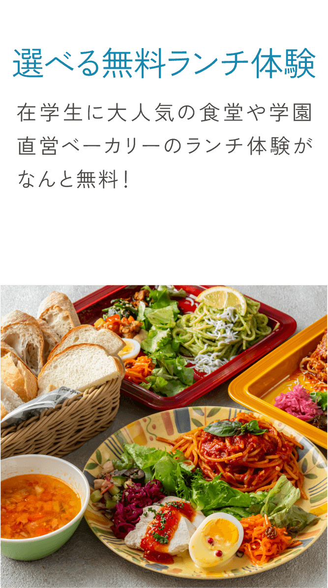 無料ランチ体験